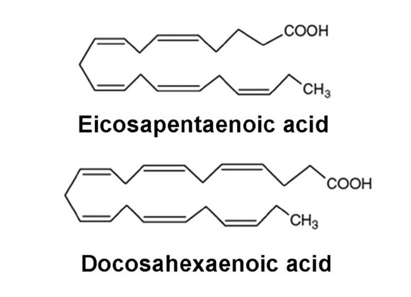 EPA vs DHA: what's the difference?